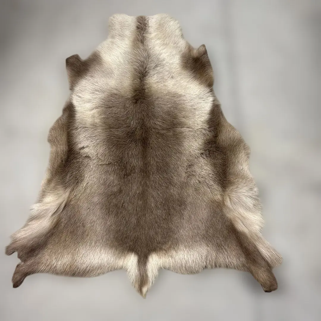 2026年最新】トナカイ 毛皮の人気アイテム - メルカリ