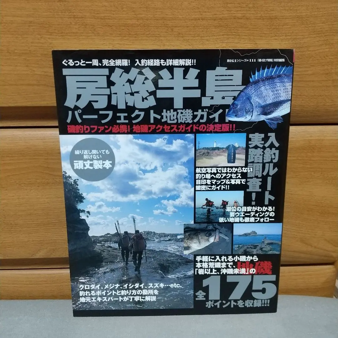 2026年最新】房総半島パーフェクト地磯ガイドの人気アイテム - メルカリ