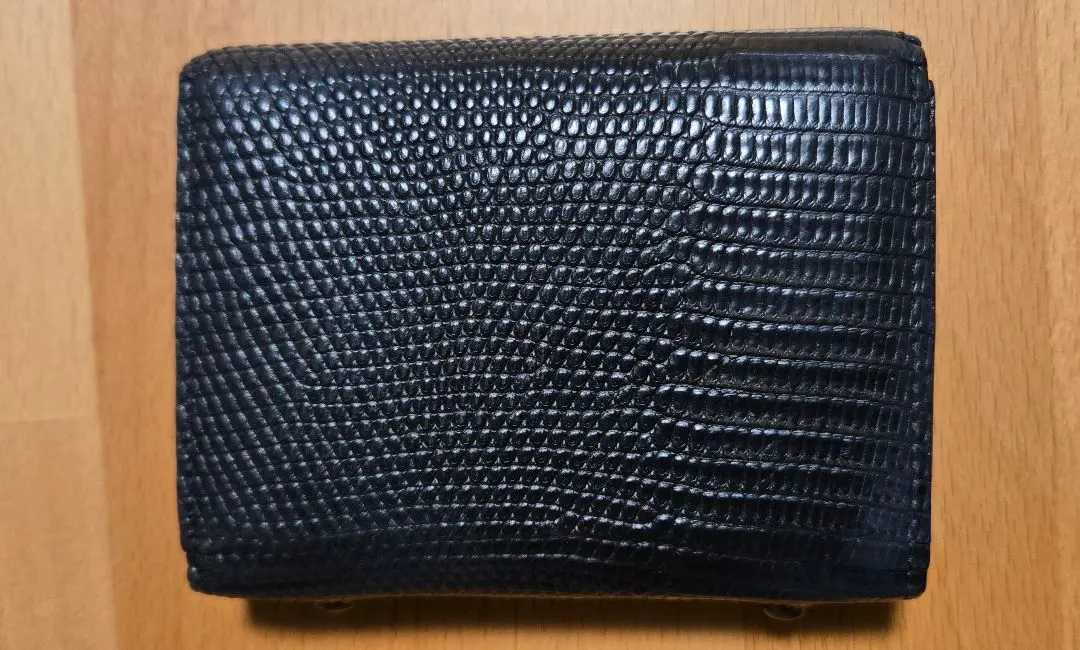 2026年最新】ワイルドスワンズ wildswans リザードの人気アイテム