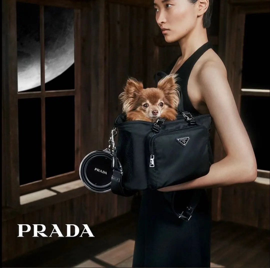 2026年最新】PRADA ペット用品の人気アイテム - メルカリ