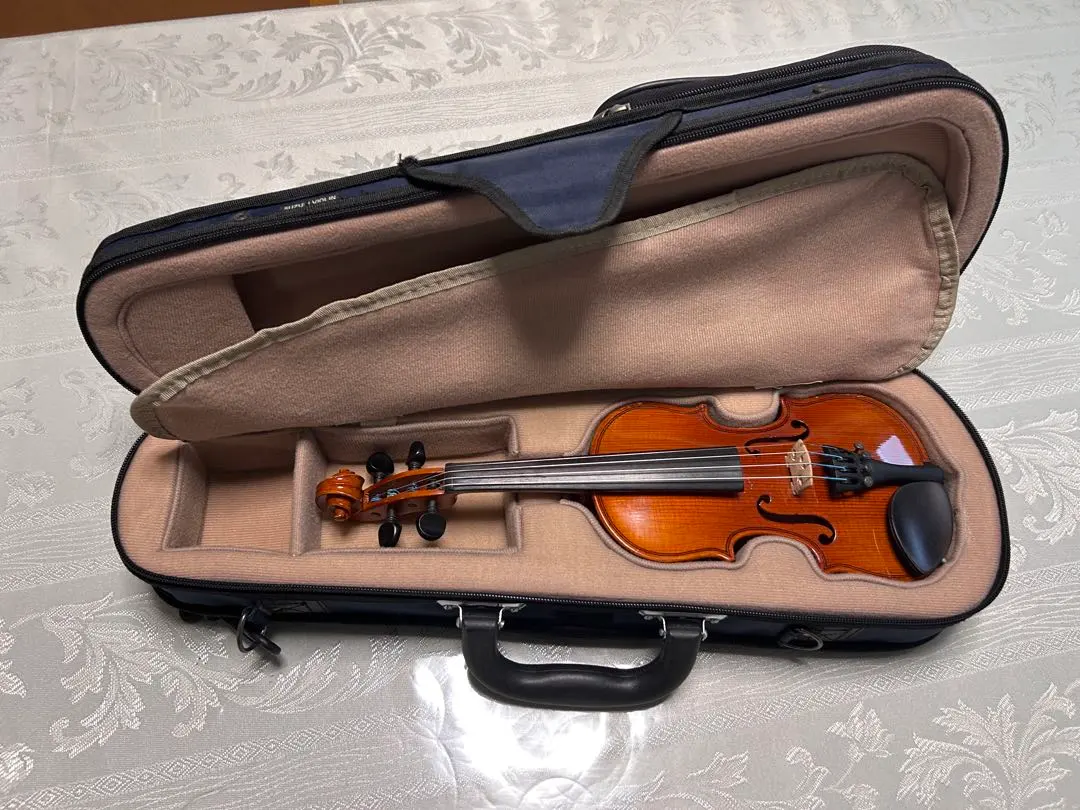 2026年最新】grazioso バイオリンの人気アイテム - メルカリ