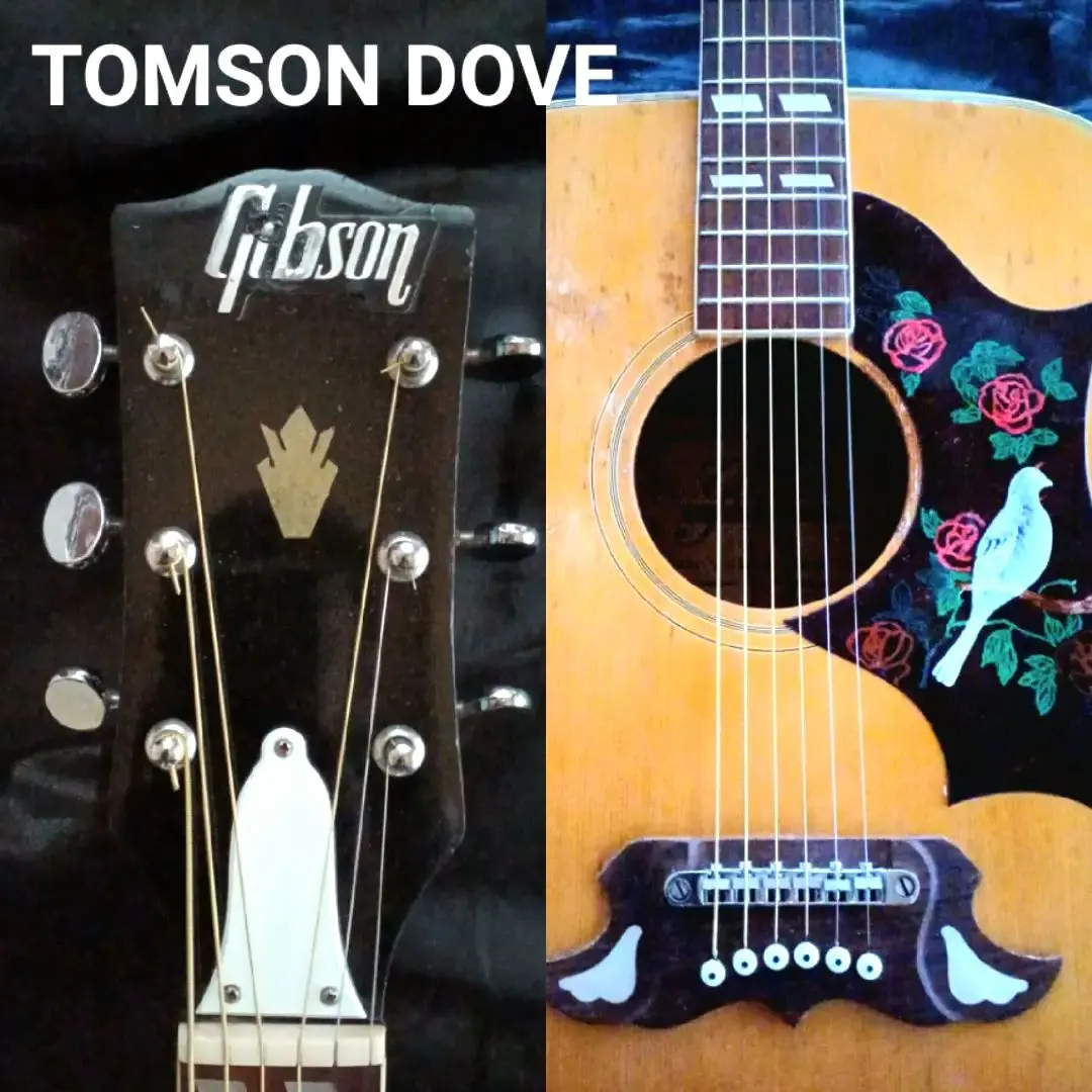 2026年最新】Gibson DOVEの人気アイテム - メルカリ