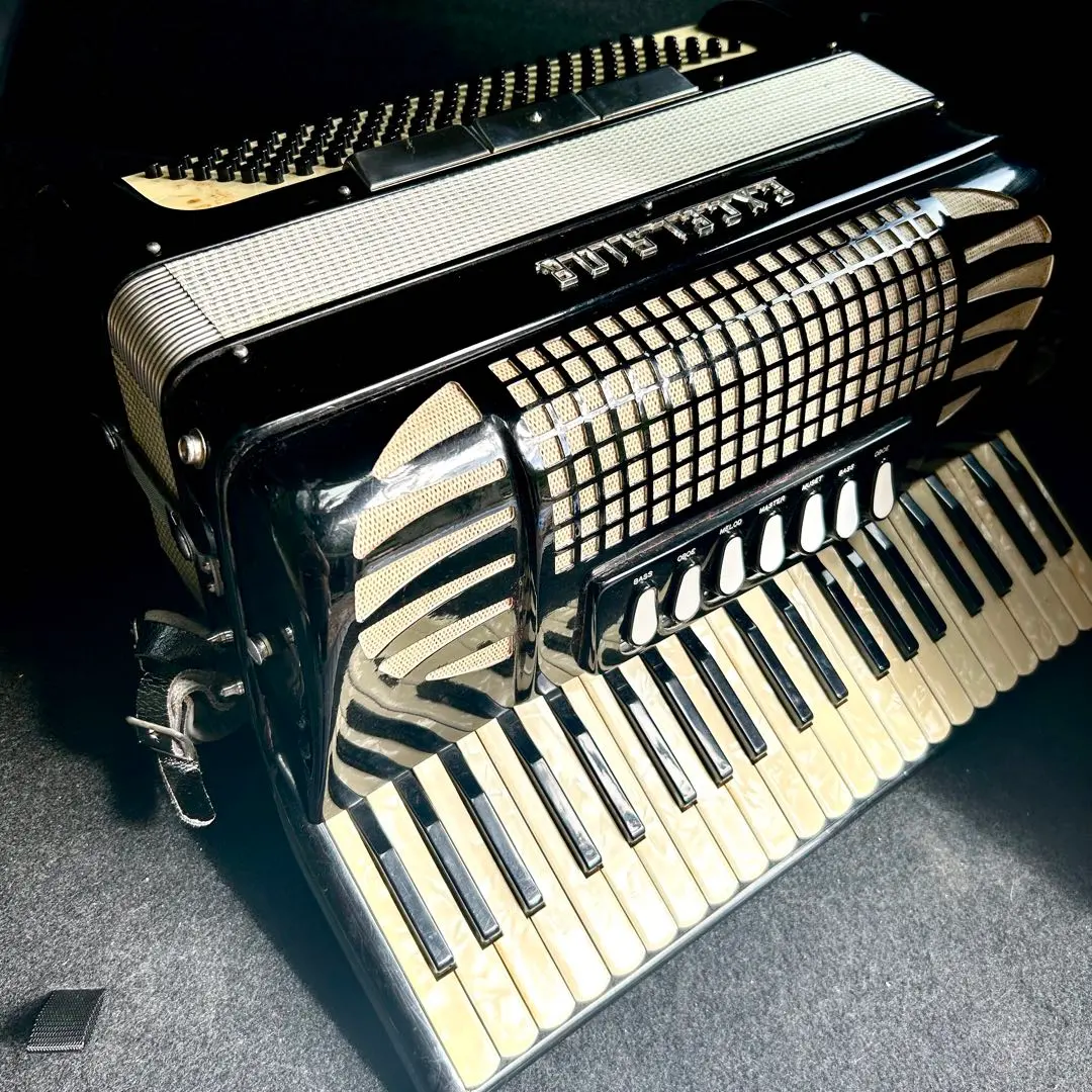 2026年最新】excelsior 308の人気アイテム - メルカリ