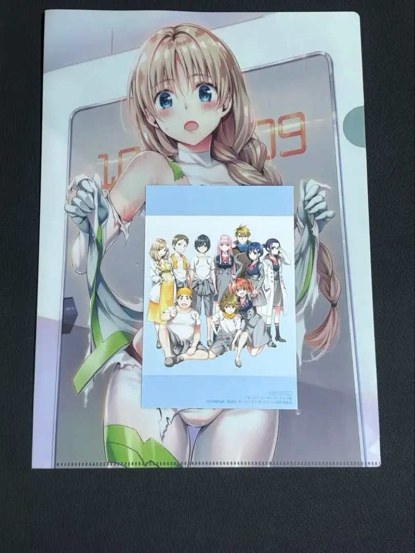 2026年最新】ダーリンインザフランキス クリアファイルの人気アイテム