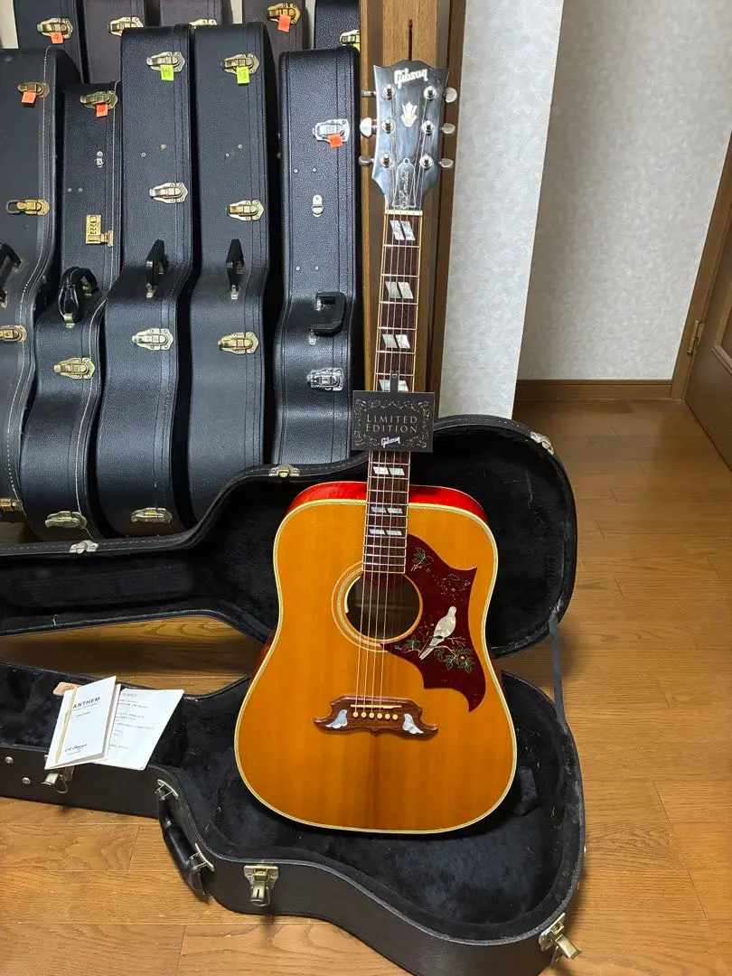 2026年最新】gibson doveの人気アイテム - メルカリ