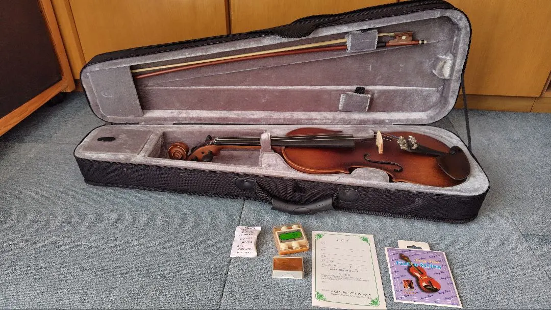 2026年最新】ハルシュタット バイオリンの人気アイテム - メルカリ