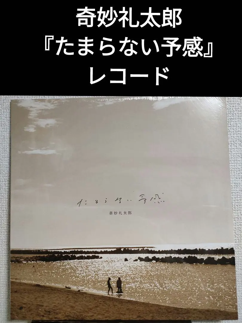 2026年最新】奇妙礼太郎 LPの人気アイテム - メルカリ