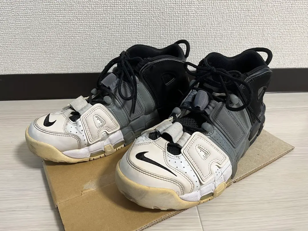 2026年最新】モアテン トリコロールの人気アイテム - メルカリ