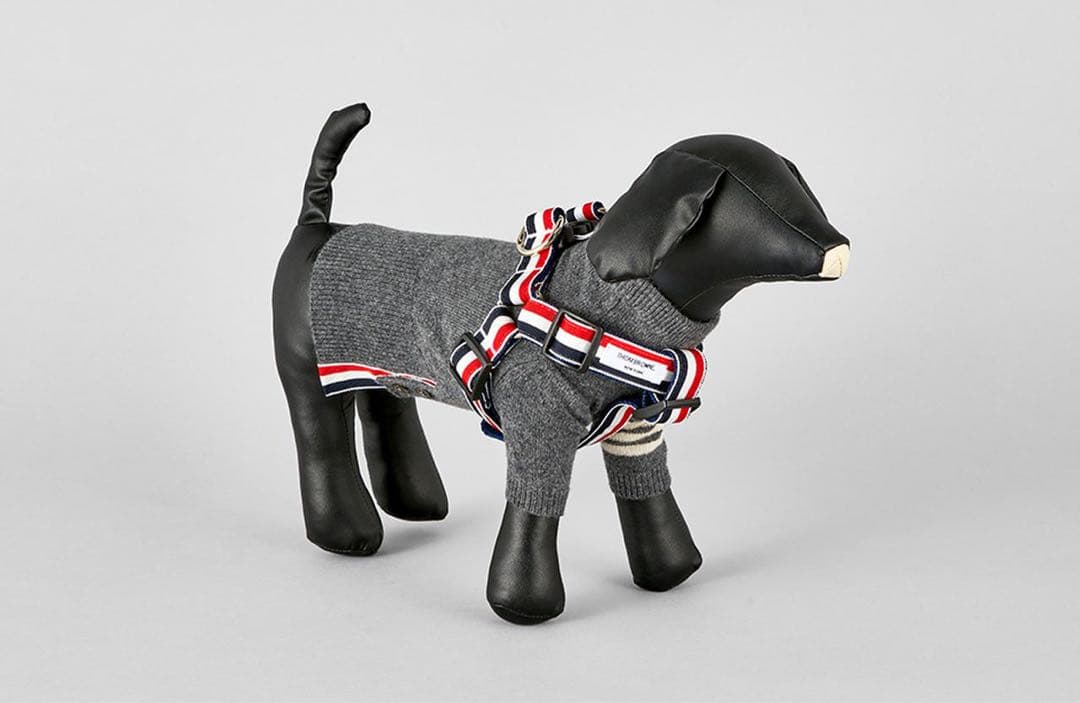 THOM BROWNE】ドックハーネス 犬用 ペット用品 トリコロール S - メルカリ