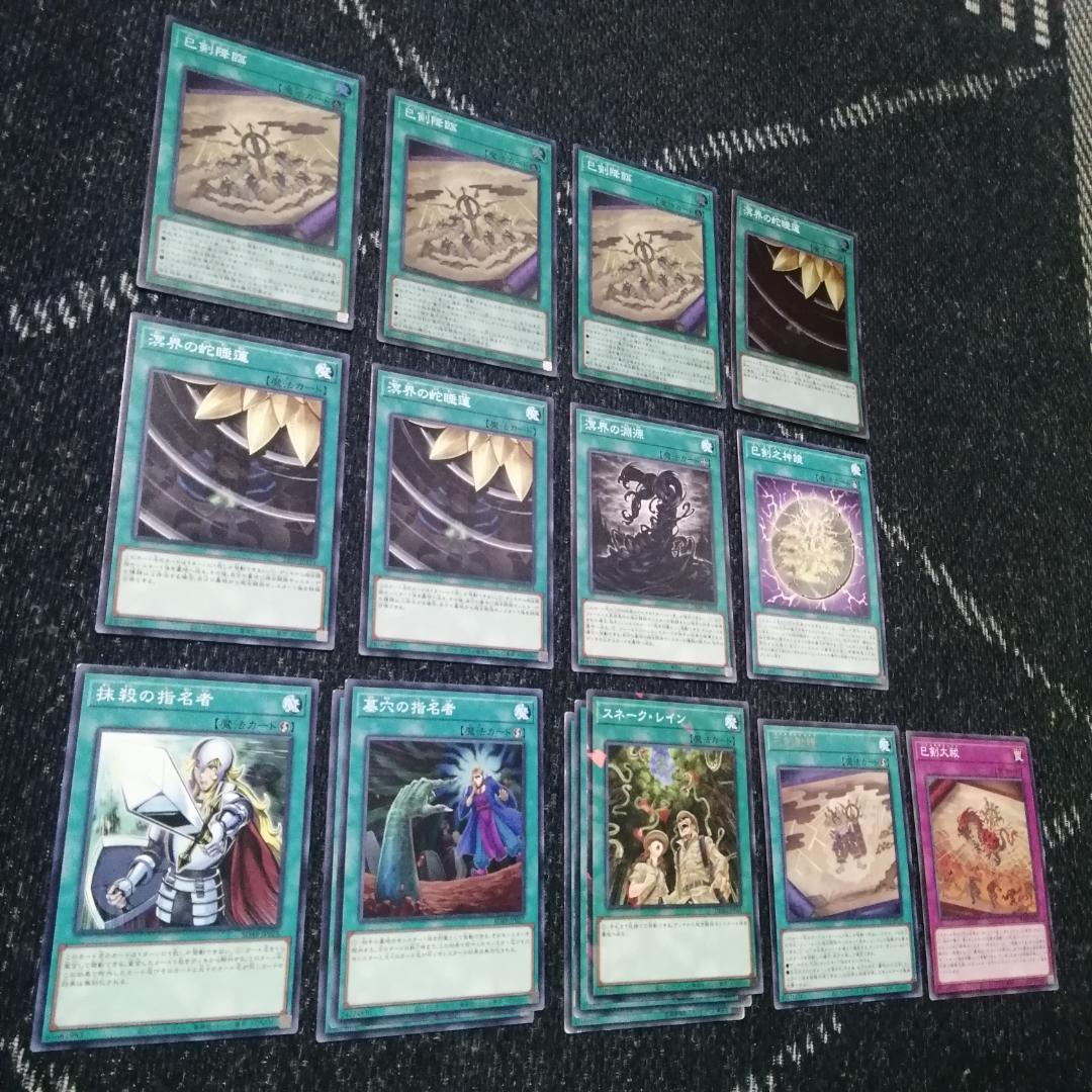 遊戯王 デッキ 巳剣 溟界 デッキ 天羽々斬之巳剣 ナイア ヌル [04203