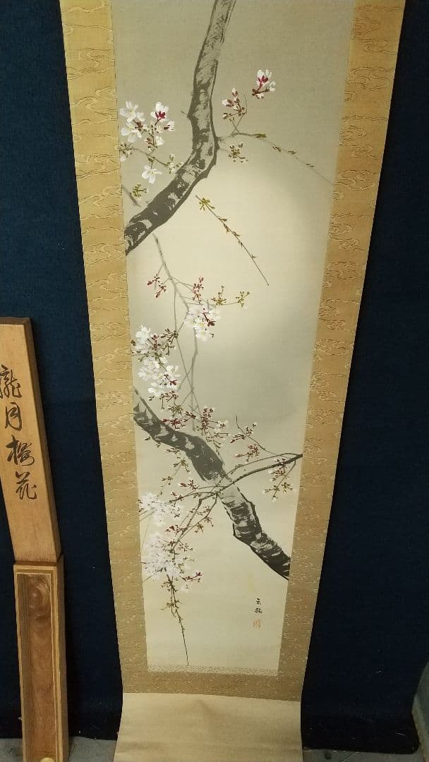 掛軸 掛け軸 絵画 桜月 今井景樹 今井景樹日本画 掛軸 絹本 共箱 朧月