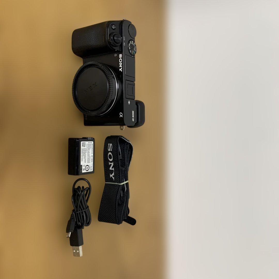 Sony α6000 ボディ 格安レンタル] SONY（ソニー） α6000 ボディ ミラーレス一眼カメラ 2泊