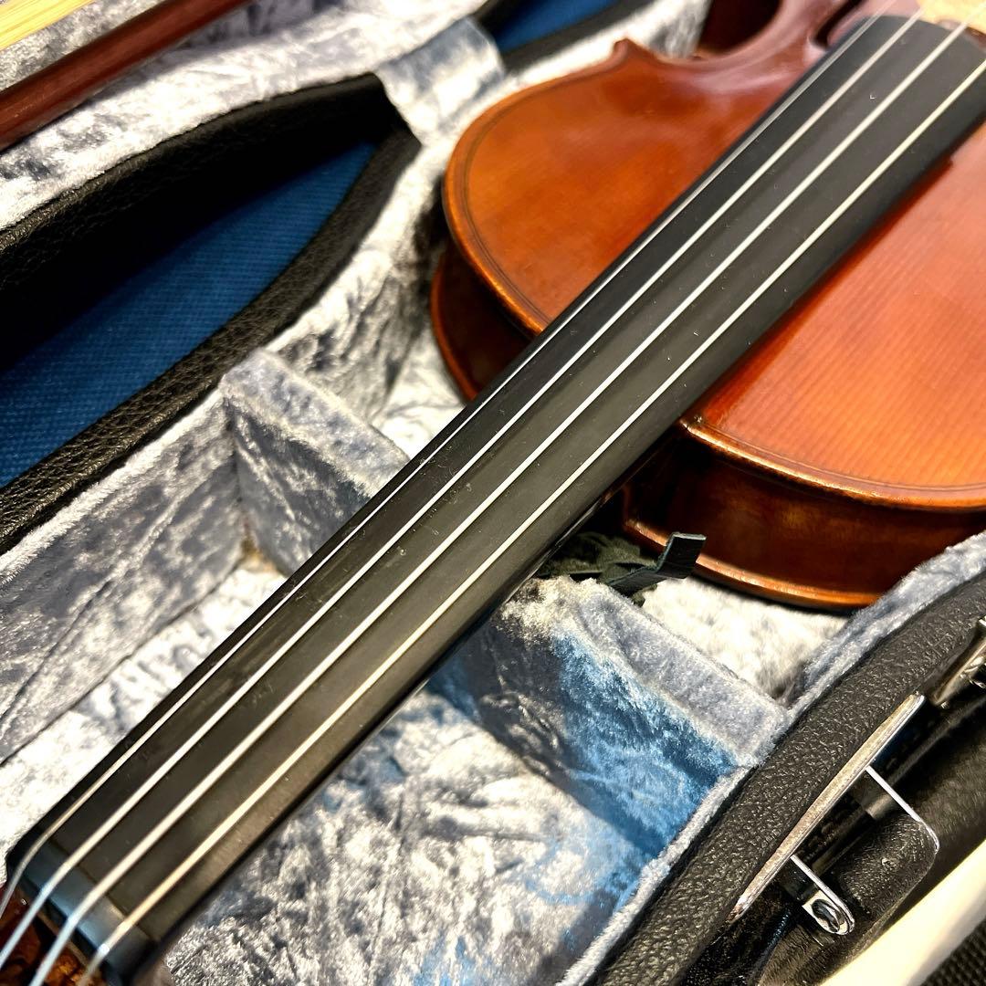 希少美品】Pygmalius ピグマリウス Bambino 1/2 バンビーノ - メルカリ