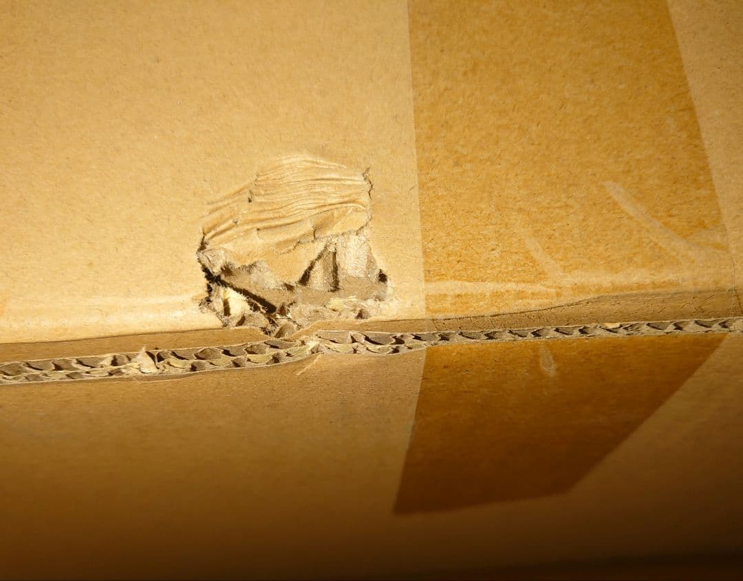 未開封 未使用 プロテカ マックスパス4 No.01471 コズミックブルー