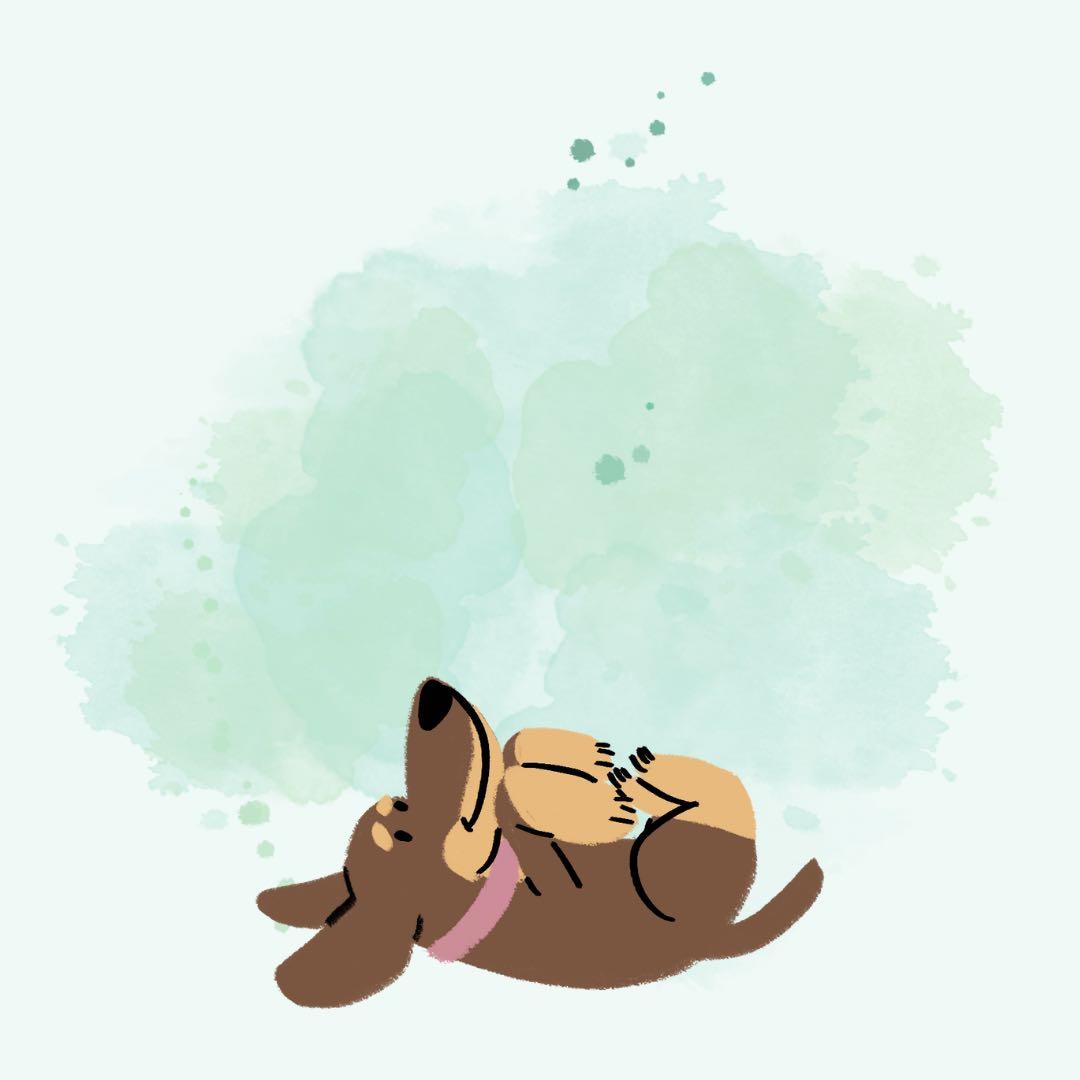 あんこ様 ブラックデニムスカート | ANTGAUGE OFFICIAL ONLINE SHOP/アント