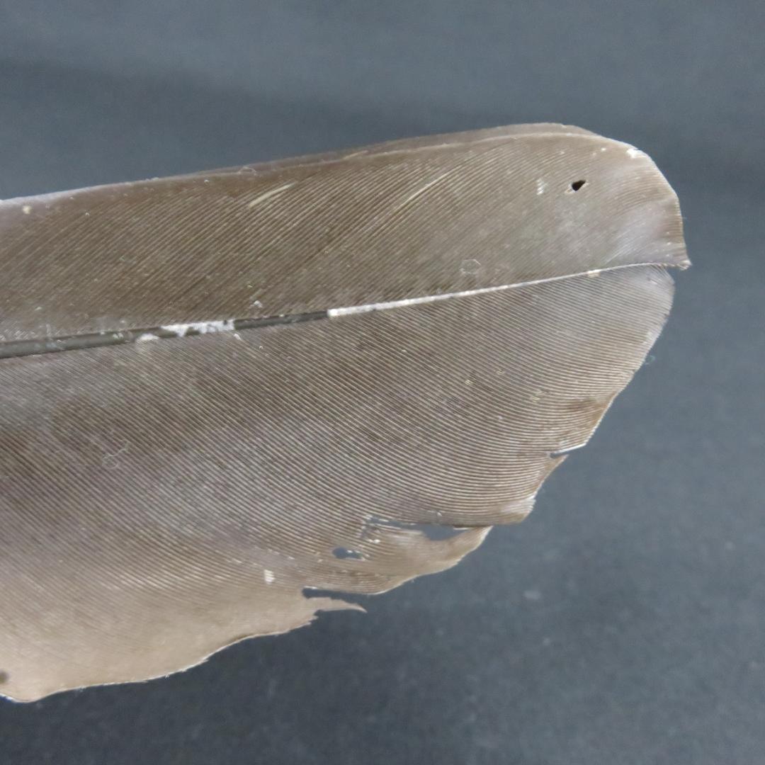 羽根箒 羽箒 ほうき 茶道具 三つ羽根 姉羽鶴 炉 定価12000円 紙箱