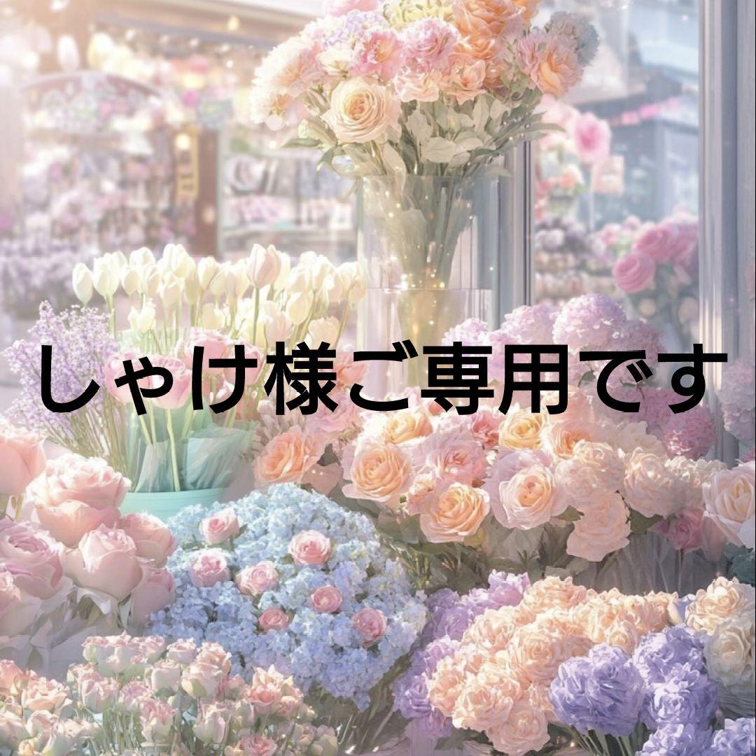 美品 セモアブライダル ラビーナビスチェ C70 - メルカリ