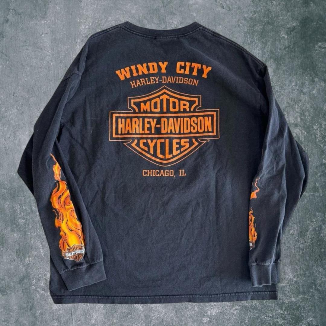 Flame 袖フレイム ハーレーダビッドソン ロンT ファイヤー 両面 長袖