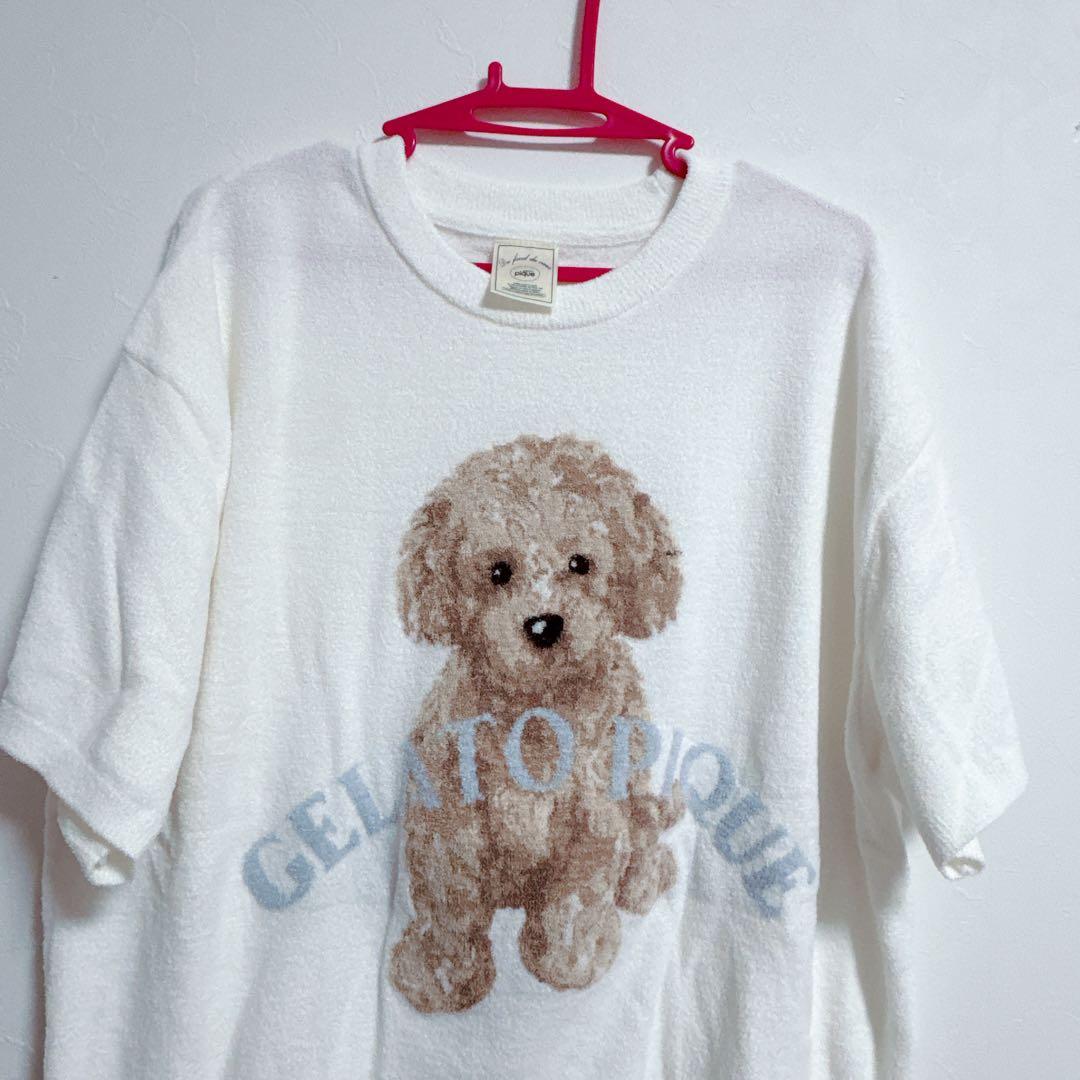 ✩【新品タグ付き】gelato pique半袖ルームウェア/トイプードル WOMEN】トイプードルJQDプルオーバー＆ショートパンツ | gelato pique