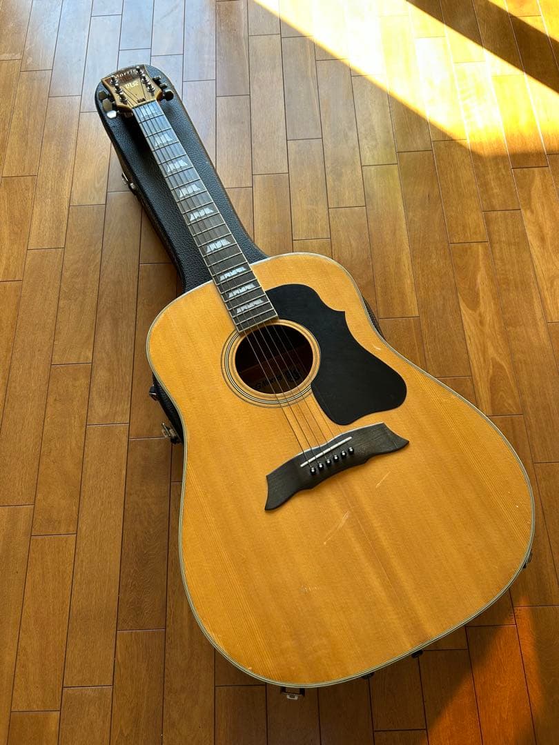 Morris MG-50 アコースティックギター Yahoo!オークション -「morris mg」(ホビー、カルチャー) の落札相場