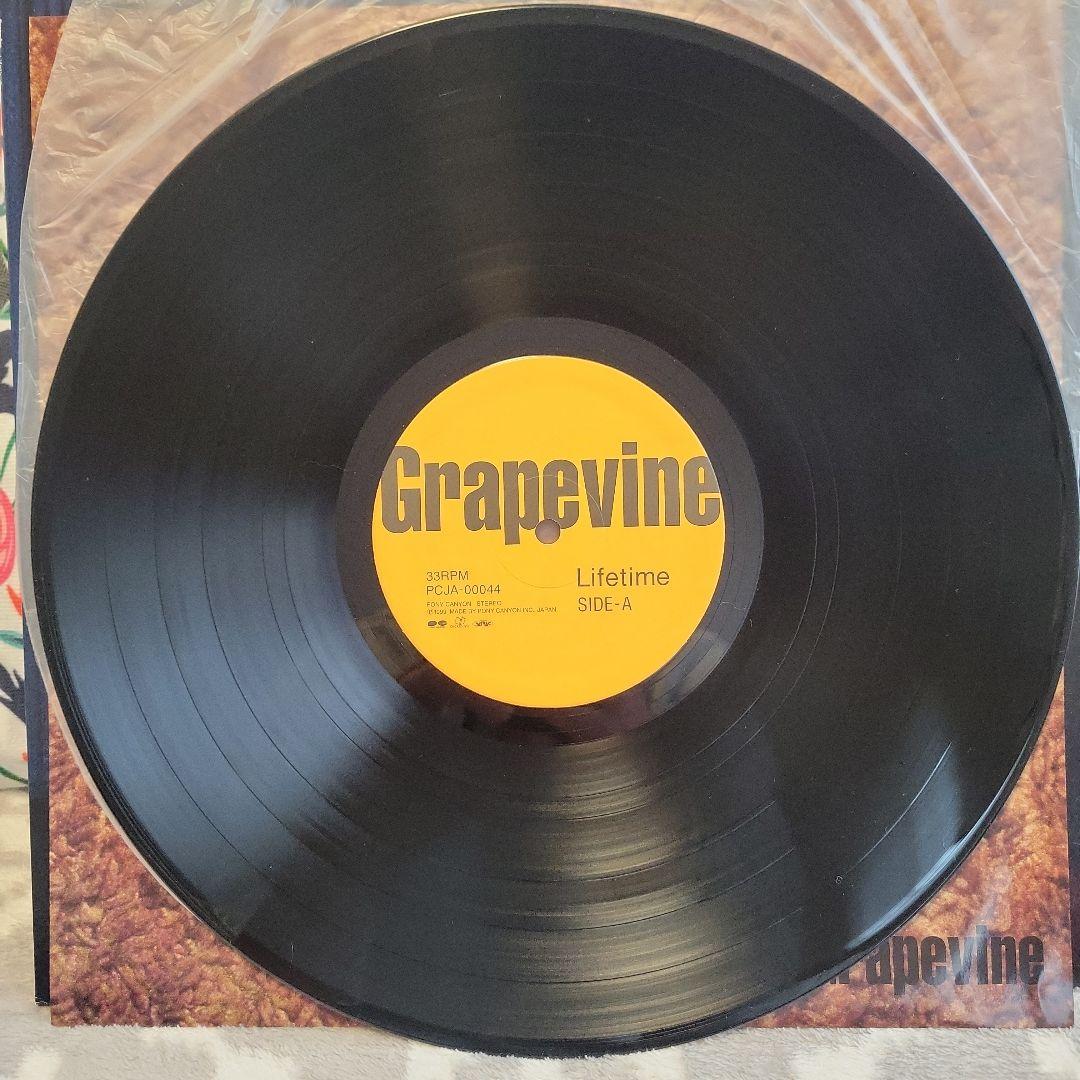 GRAPEVINE グレイプバイン LIFETIME アナログ レコード - メルカリ