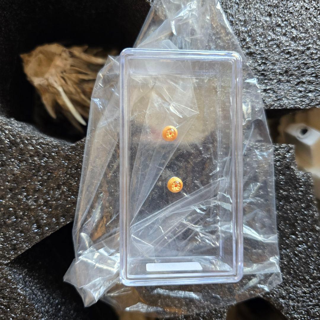 地啼龍アンイシュワルダ ガレージキット - メルカリ