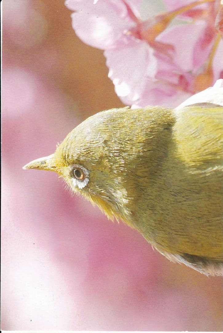 専用…かずちゃんさま