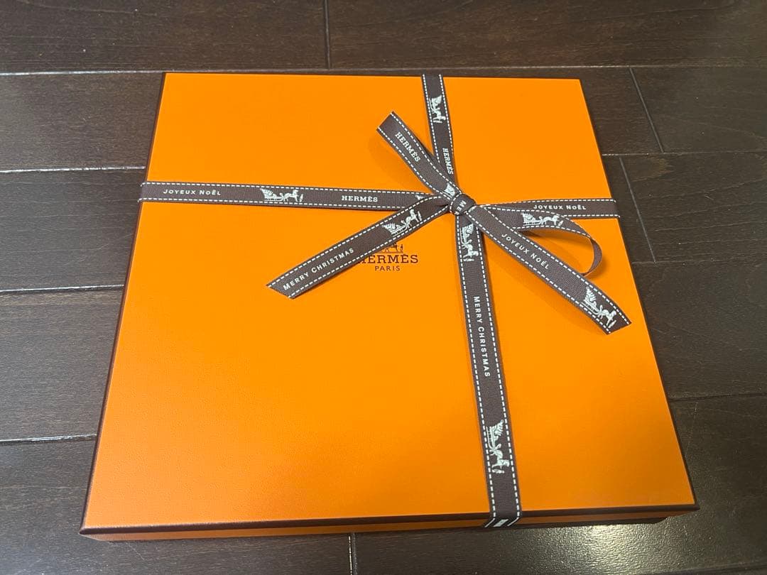 エルメス　スカーフ　カレ 90 《アカデミア・イピカ》　富士山　新品未使用