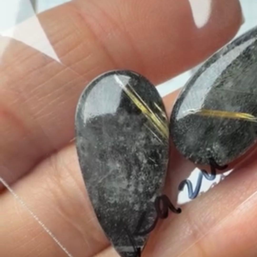 ポメころびページです୨୧