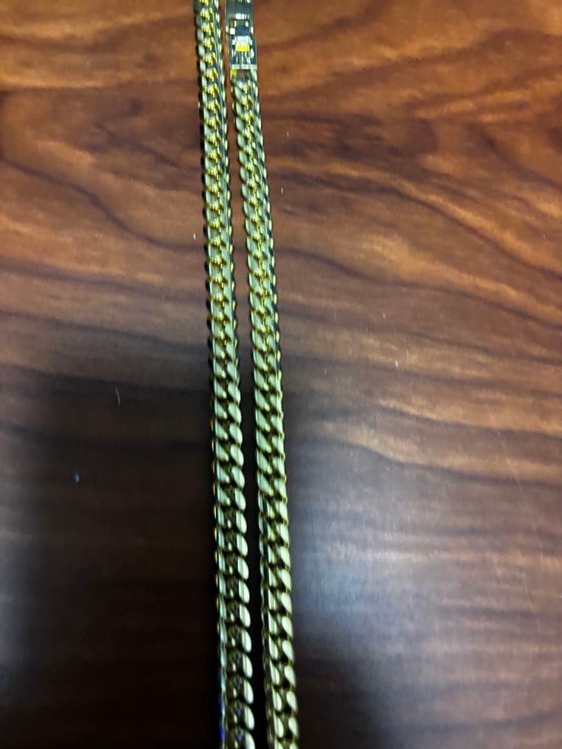 ゲンゴロウ‼️