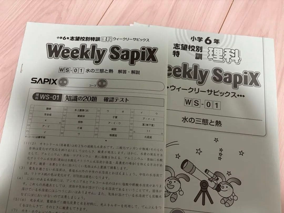 サピックス6年生 理科 土特志望校特訓ウィークリーサピックス 知識の総