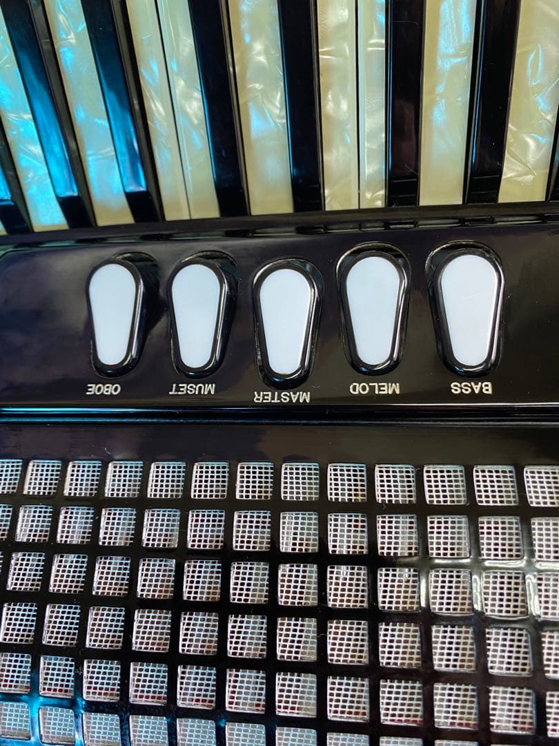 綺麗に保管された美品、EXCELSIOR400.41鍵120べース443hz