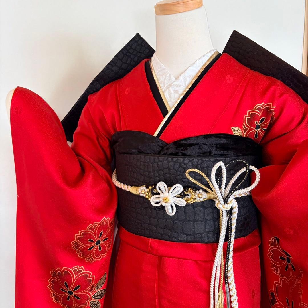 振袖フルセット 赤 黒 金彩 正絹 地紋 花蝶文 振袖6点セット 成人式