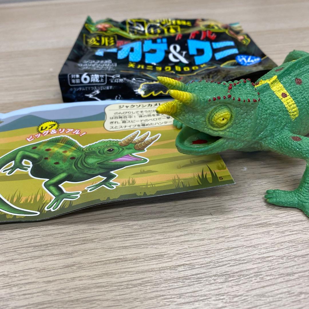 変形爬虫類リアルトカゲ＆ワニ ジャクソンカメレオン - メルカリ