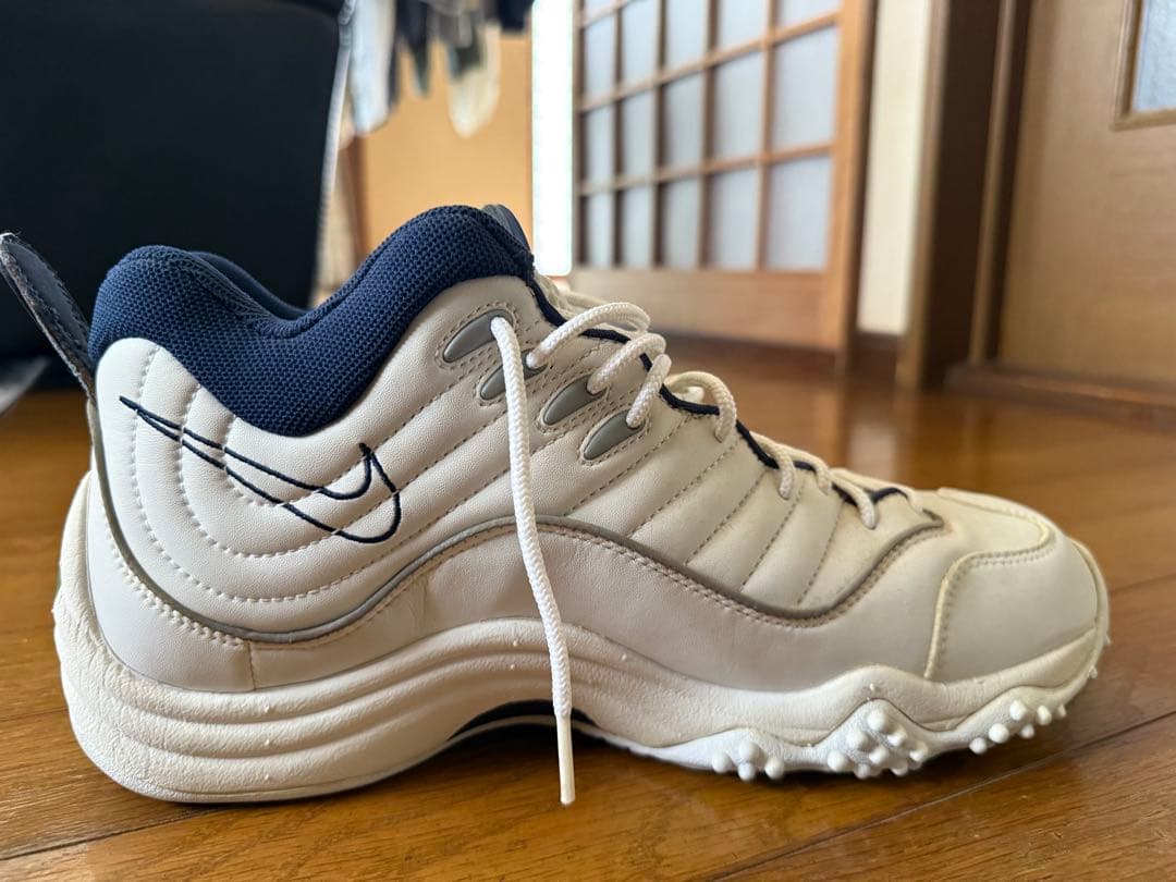 エアズームフライト5 29.5㎝ - メルカリ