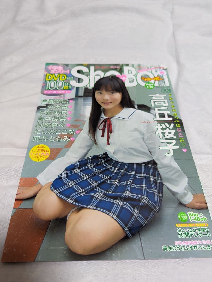 海王社ムック Sho-Boh ショーボー Vol 28 高丘桜子 DVD付き
