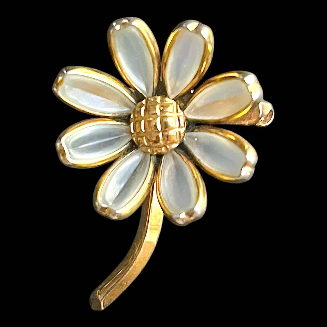 ☆ちょこすけページ☆