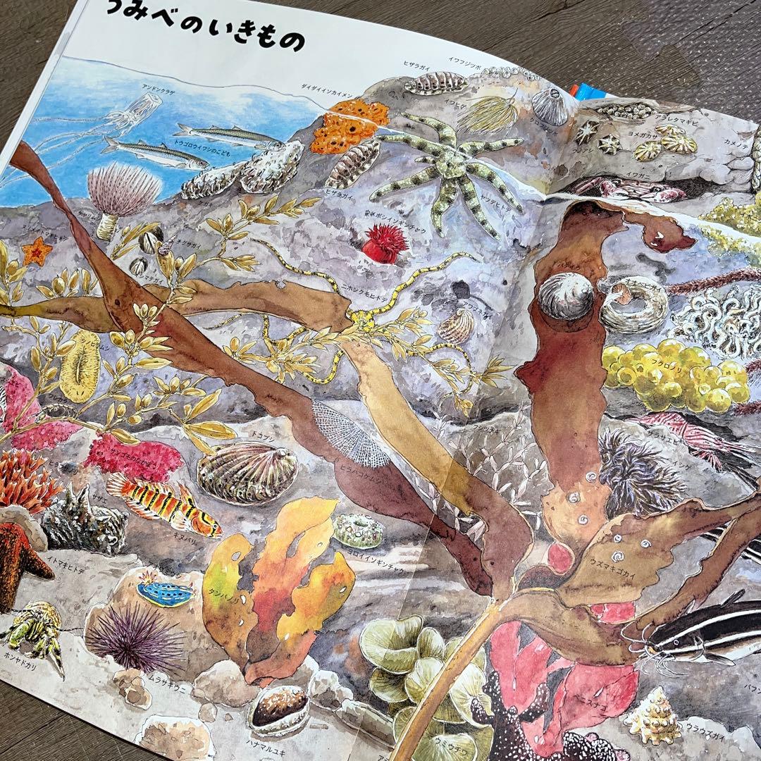 ふらわー様専用】いきものづくし ものづくし 10巻セット - メルカリ