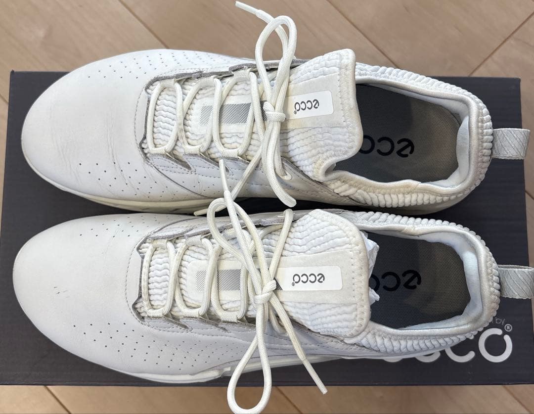 ECCO GOLFゴアテックスゴルフシューズ　25.5cm【極美品】