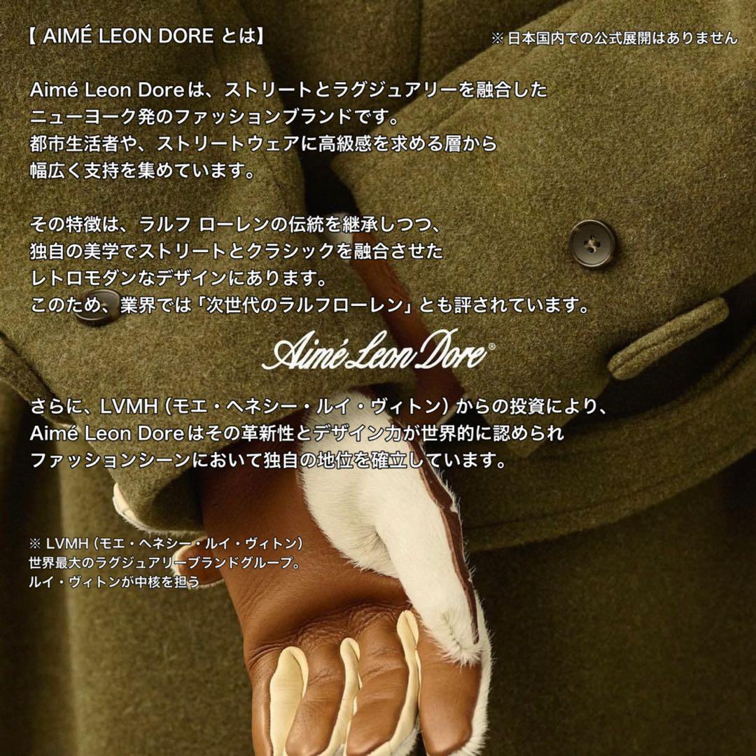 国内未展開】 エメレオンドレ フィンガーレス グローブ タン L/XL