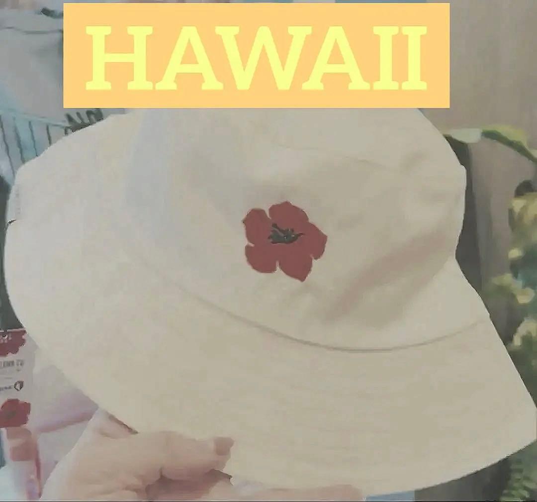 ♪新品　ハワイアンエアライン　タグアロハコラボ　ハット ♪新品 ハワイアンエアライン タグアロハコラボ ハット - メルカリ