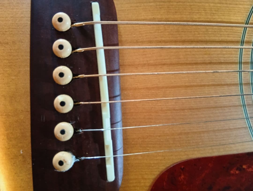 Fender DG-16NATアコースティックギターハードケース、ピックアップ付