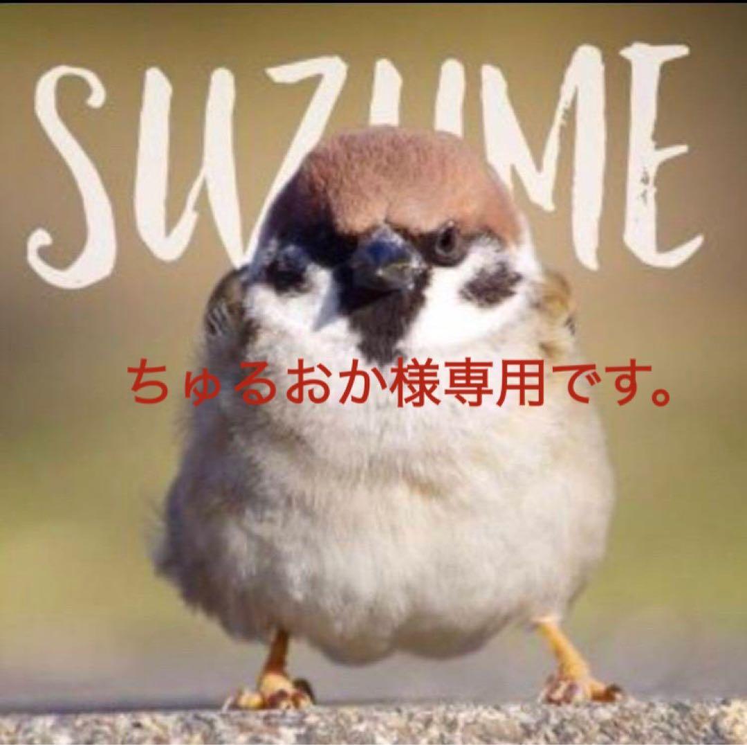 ゼファーχ用シート　しじみシート　【ちゅるおかです。】 Amazon | KAWASAKI カワサキ ゼファーχ レザー タックロールシート