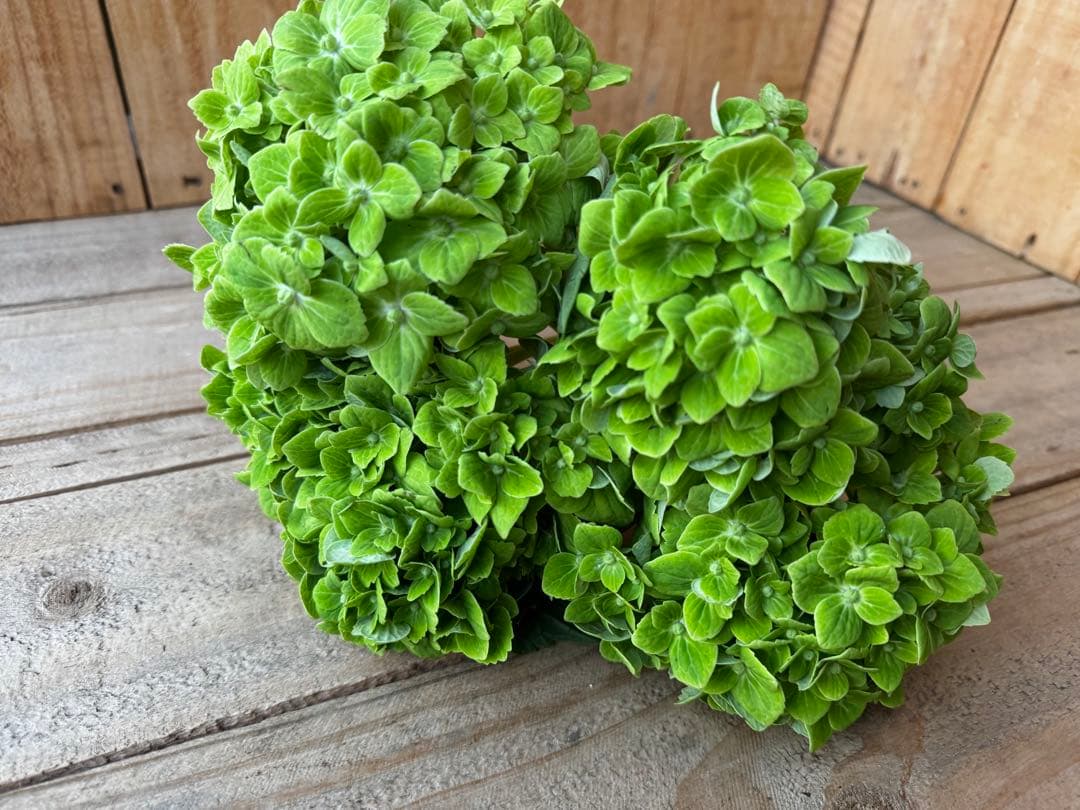 みう様 リクエスト 3点 まとめ商品 みかん様 リクエスト 3点 まとめ商品 - メルカリ