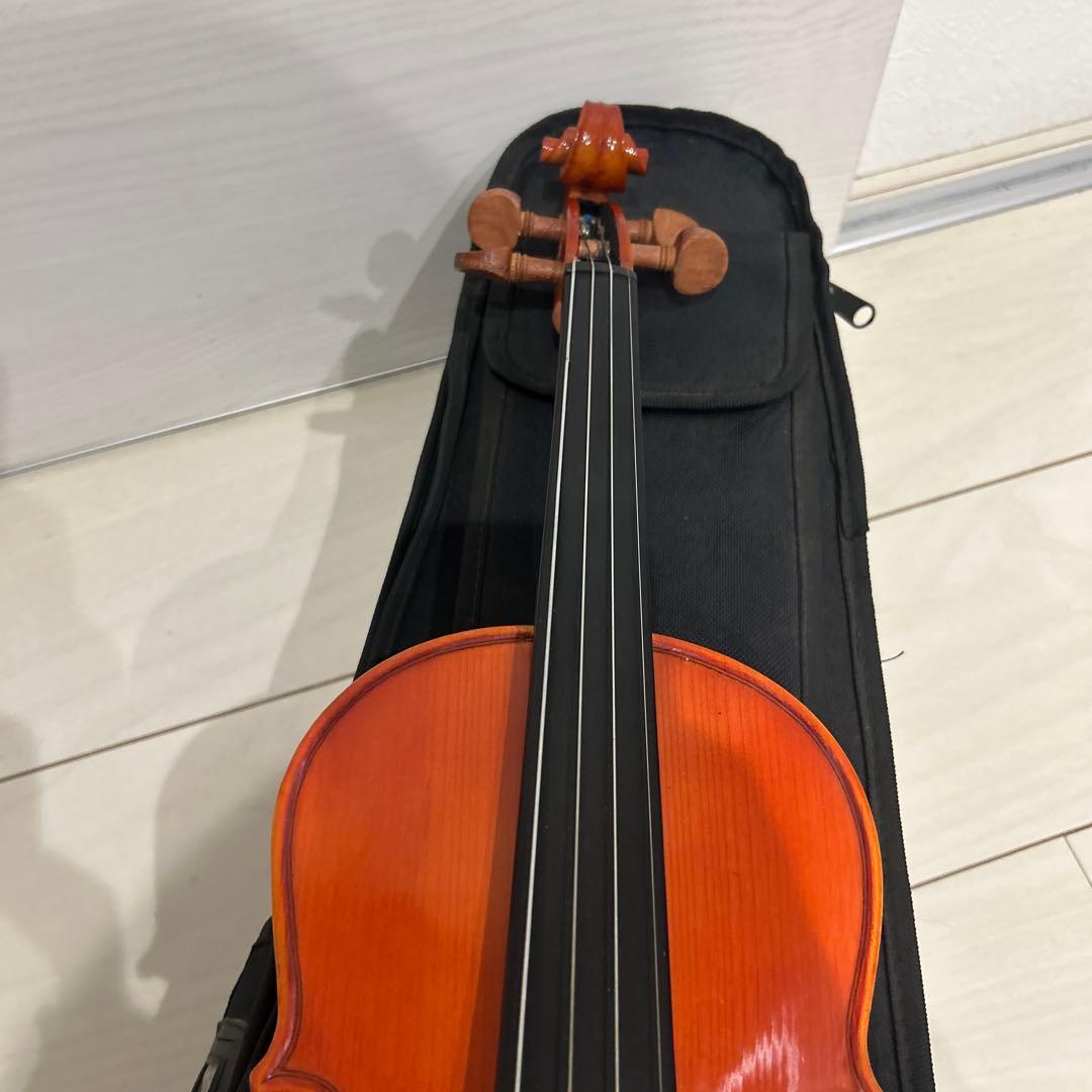 Stentor student I 1/2 バイオリン ステンター学生 - メルカリ