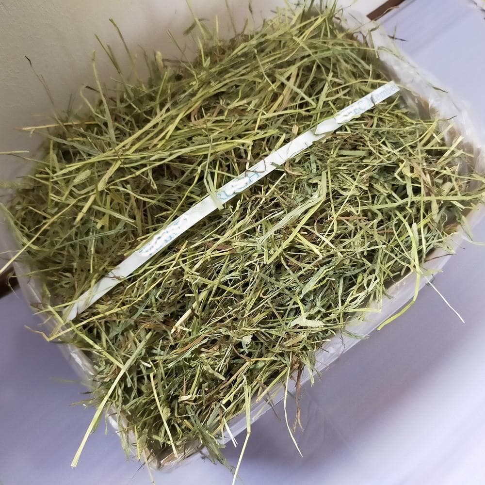 US産 チモシー 30kg 2番刈 ソフトスーパープレミアム - メルカリ