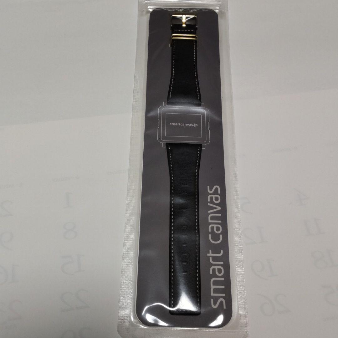 エプソン スマートキャンバス 付け替えベルト付き