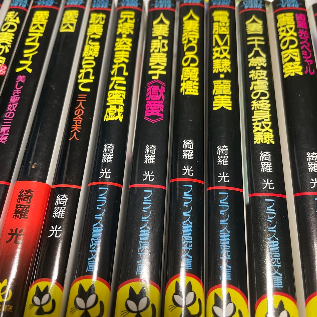 白*角様 最終値下げ　綺羅光 フランス書院文庫 文庫本 入手困難２０冊セット