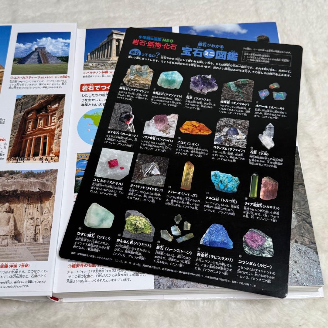 良品・カバーあり】小学館の図鑑NEO 全巻20冊セット （良品・付録つき