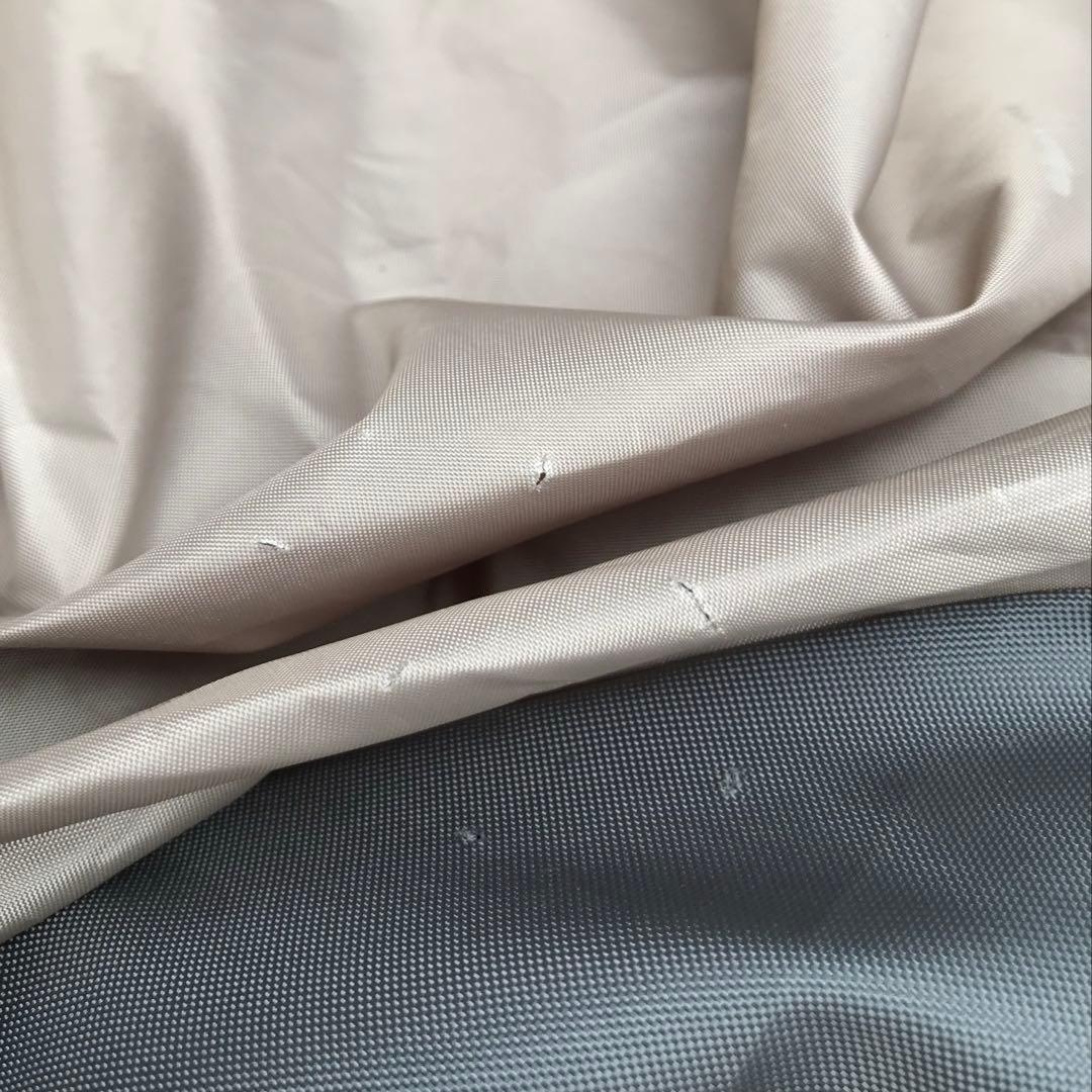 【訳あり】サバティカル ギリア sabbatical gilia 値段交渉可